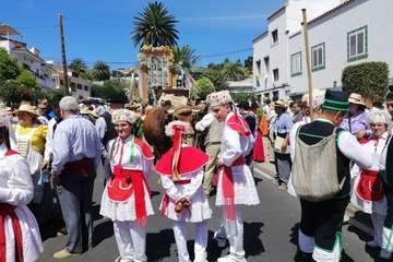 Romería ofrenda a la Virgen del Pino (Foto TA y Antonio Alí)